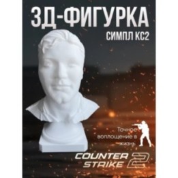 Купить симпл кс2 ASDAMATOYS