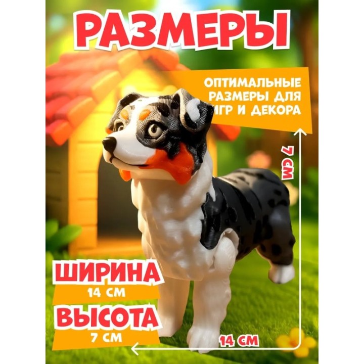 Купить Австралийская овчарка 3д игрушка ASDAMATOYS