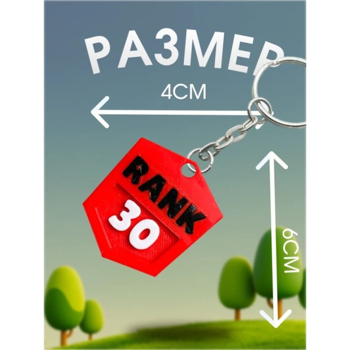 Купить Брелок бравл старс 30й ранг ASDAMATOYS