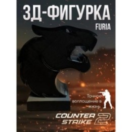 Купить Furia cs2 ASDAMATOYS