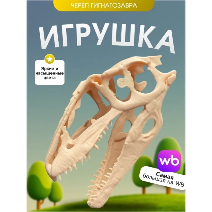 Купить Игрушка череп гигантозавтра динозавр ASDAMATOYS