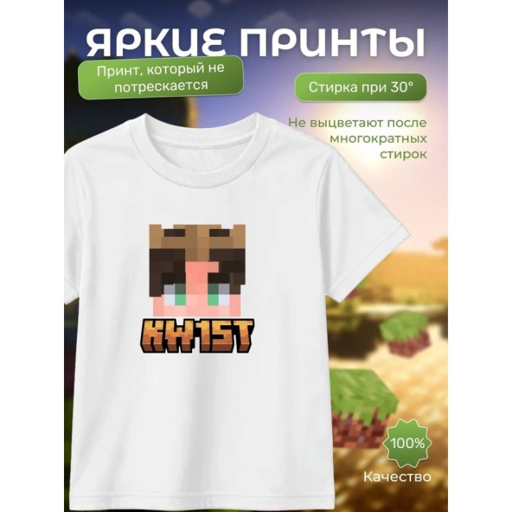 Купить kw1st minecraft футболка ASDAMATOYS