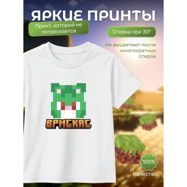 Купить Мерч бискаса футболка minecraft 6 ASDAMATOYS