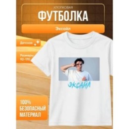 Купить мерч эксайла футболка ASDAMATOYS