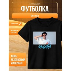 мерч эксайла футболка