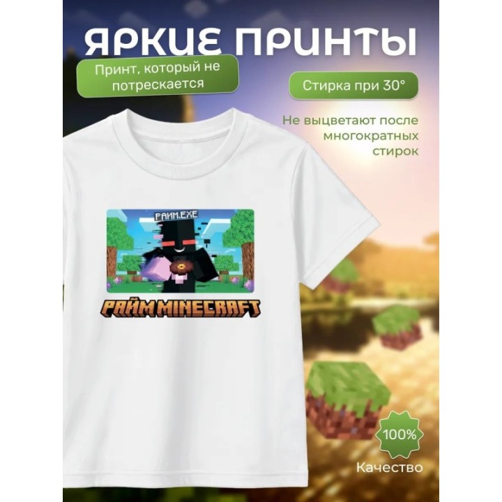 Купить райм minecraft мерч футболка ASDAMATOYS