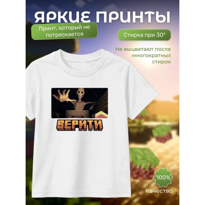 Купить верити minecraft футболка ASDAMATOYS