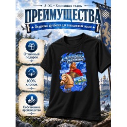 Купить Футболка добрыня никитич ASDAMATOYS