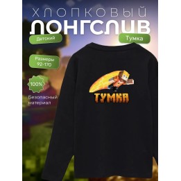 Купить тумка minecraft лонгслив ASDAMATOYS