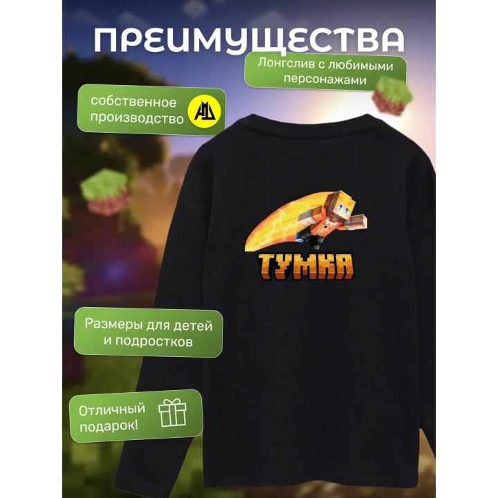 Купить тумка minecraft лонгслив ASDAMATOYS