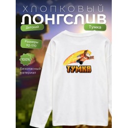 Купить тумка minecraft лонгслив ASDAMATOYS