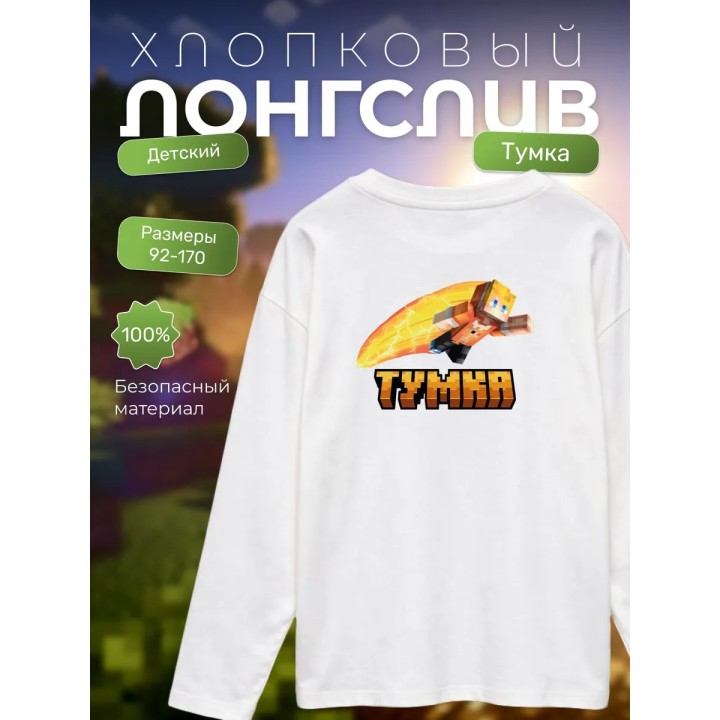 Купить тумка minecraft лонгслив ASDAMATOYS