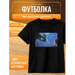 Купить Как приручить дракона футболка ASDAMATOYS