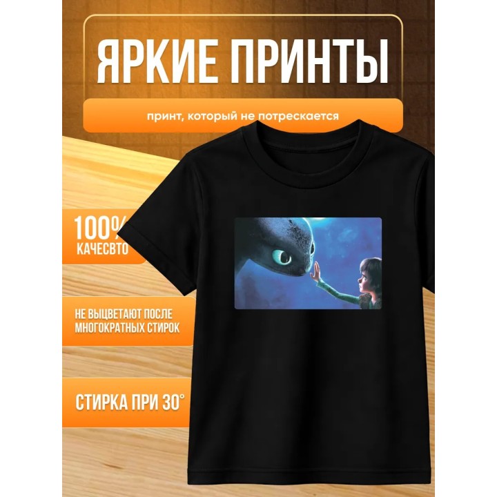 Купить Как приручить дракона футболка ASDAMATOYS