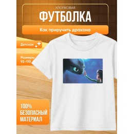 Купить Как приручить дракона футболка ASDAMATOYS