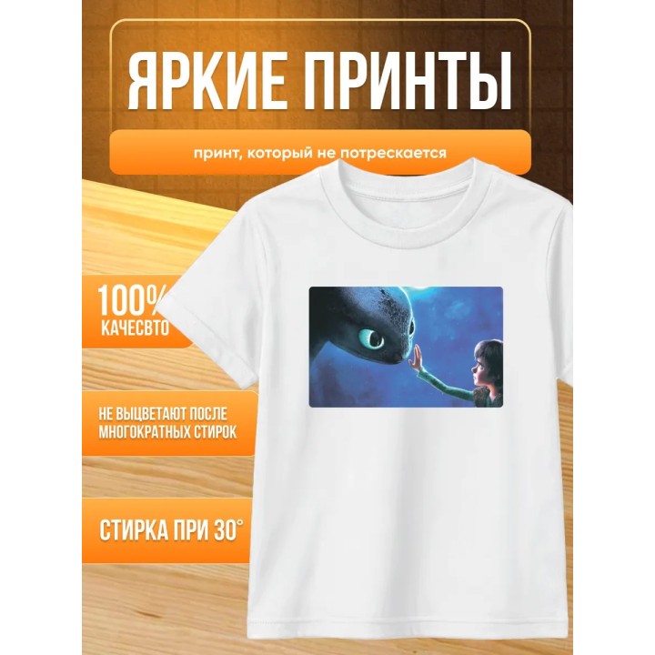 Купить Как приручить дракона футболка ASDAMATOYS