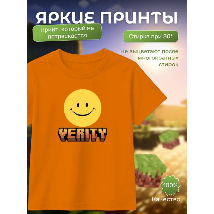 Купить футболка minecraft верити 1 ASDAMATOYS
