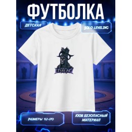 Купить Футболка соло левелинг ASDAMATOYS
