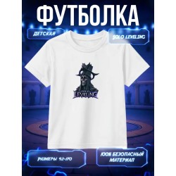 Футболка соло левелинг