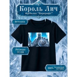 Варкрафт Король Лич футболка