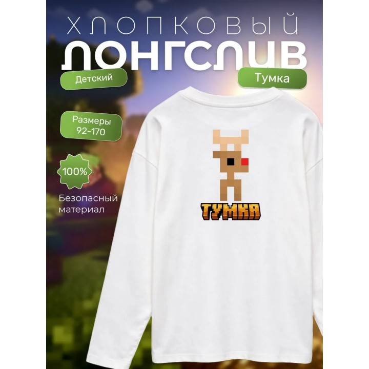 Купить тумка лонгслив minectaft 2 ASDAMATOYS