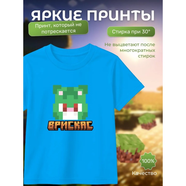 Купить Мерч бискаса футболка minecraft 6 ASDAMATOYS