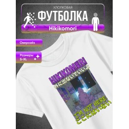 Купить Футболка hikikomori ASDAMATOYS