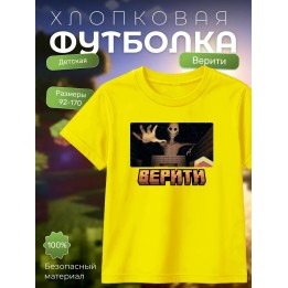 Купить верити minecraft футболка ASDAMATOYS