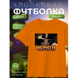 Купить верити minecraft футболка ASDAMATOYS