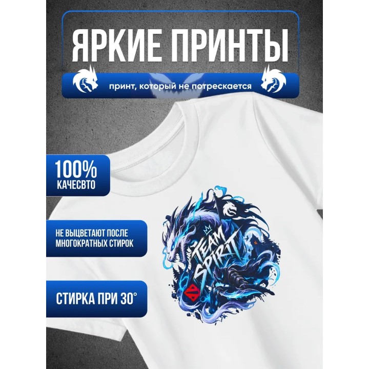 Купить Футболка тим спирит дота 2 ASDAMATOYS