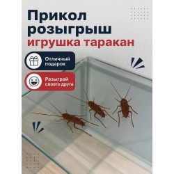 тараканы для розыгрышей 3шт