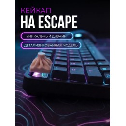 Купить Кейкап хинкали ASDAMATOYS