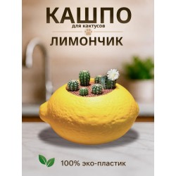 Кашпо для кактусов лимон