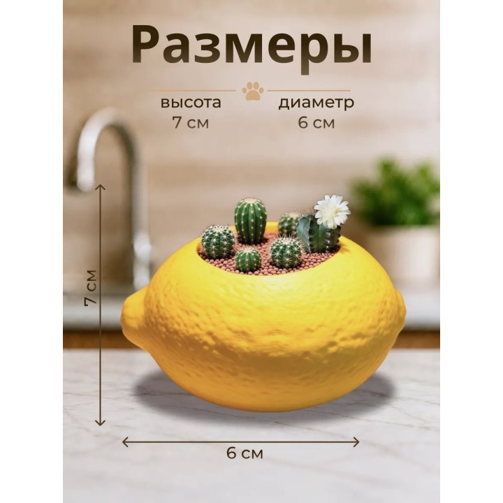 Купить Кашпо для кактусов лимон ASDAMATOYS