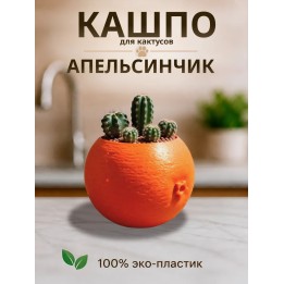 Купить Кашпо для кактусов апельсин ASDAMATOYS
