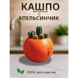 Кашпо для кактусов апельсин