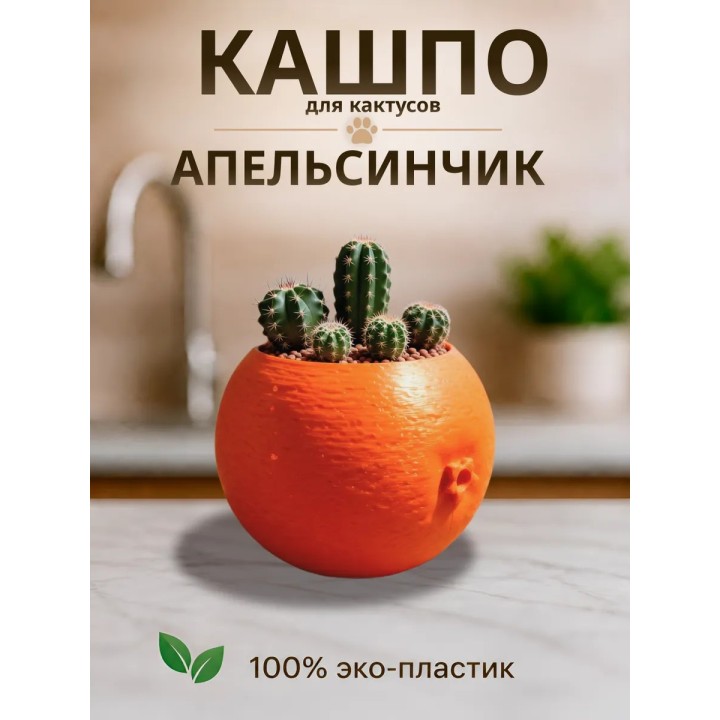Купить Кашпо для кактусов апельсин ASDAMATOYS