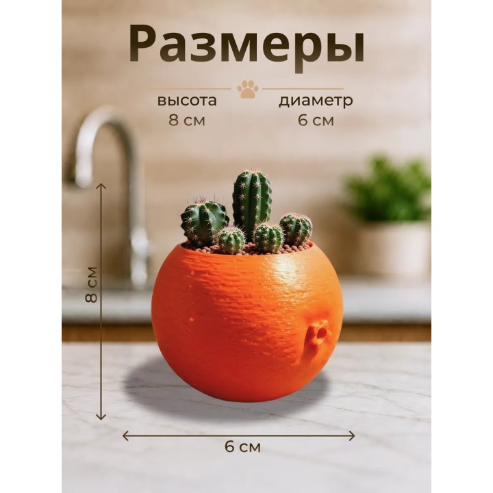 Купить Кашпо для кактусов апельсин ASDAMATOYS