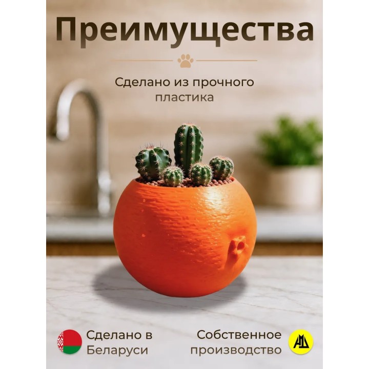 Купить Кашпо для кактусов апельсин ASDAMATOYS