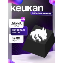 Купить Кейкап тимспирит team spirit ASDAMATOYS