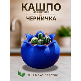 Купить Кашпо для кактусов черника ASDAMATOYS