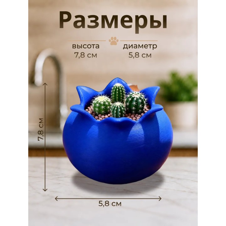 Купить Кашпо для кактусов черника ASDAMATOYS