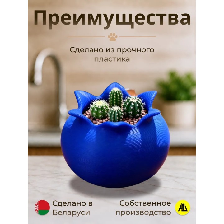 Купить Кашпо для кактусов черника ASDAMATOYS