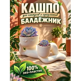 Купить кашпо для кактусов и суккулентов 2 ASDAMATOYS
