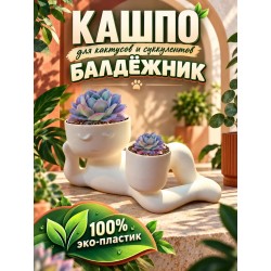 кашпо для кактусов и суккулентов 2