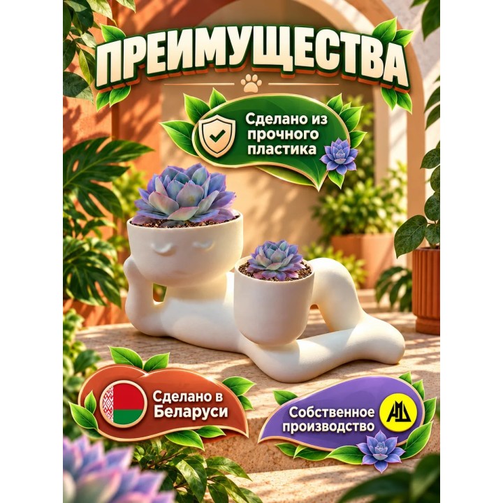 Купить кашпо для кактусов и суккулентов 2 ASDAMATOYS