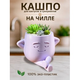 Купить кашпо для кактусов и суккулентов 3 ASDAMATOYS