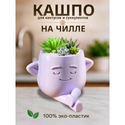 кашпо для кактусов и суккулентов 3
