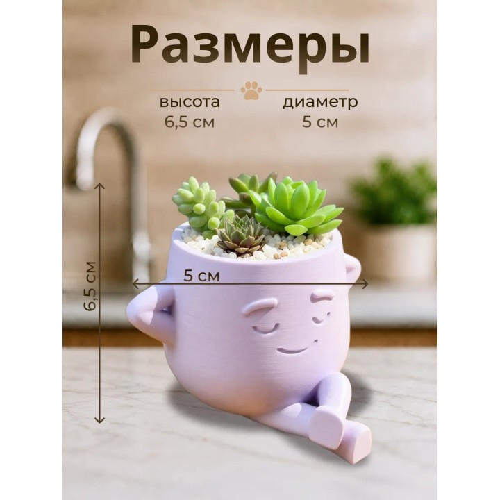 Купить кашпо для кактусов и суккулентов 3 ASDAMATOYS