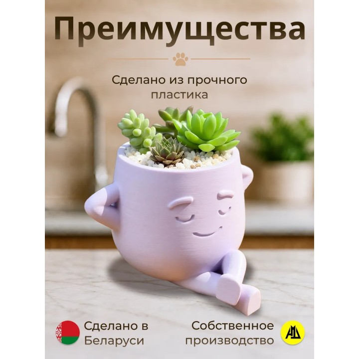 Купить кашпо для кактусов и суккулентов 3 ASDAMATOYS